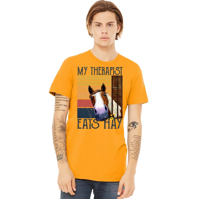 My Therapist Eats Hay Funny Horse Lover Horse Riders Premium T-Shirt