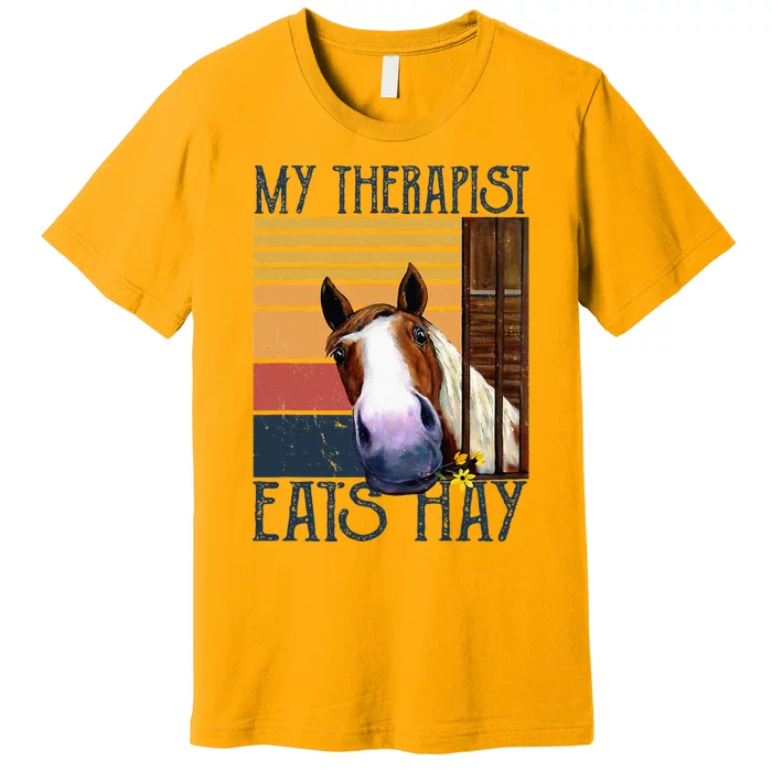 My Therapist Eats Hay Funny Horse Lover Horse Riders Premium T-Shirt