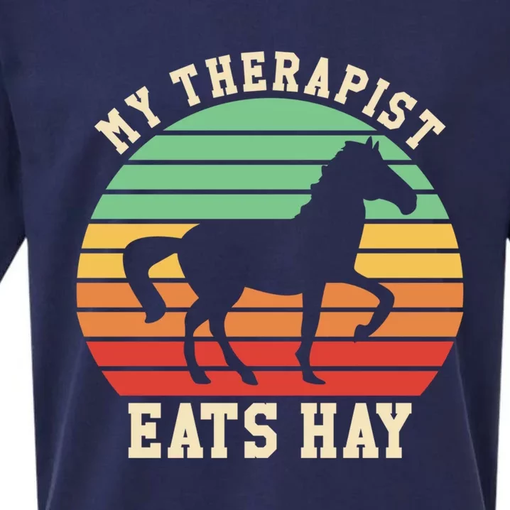 My Therapist Eats Hay Funny Horseback Riding Retro Gift Sueded Cloud Jersey T-Shirt