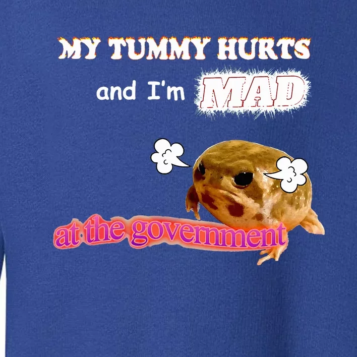 My Tummy Hurts And Im MAD At The Government Meme Toddler Sweatshirt