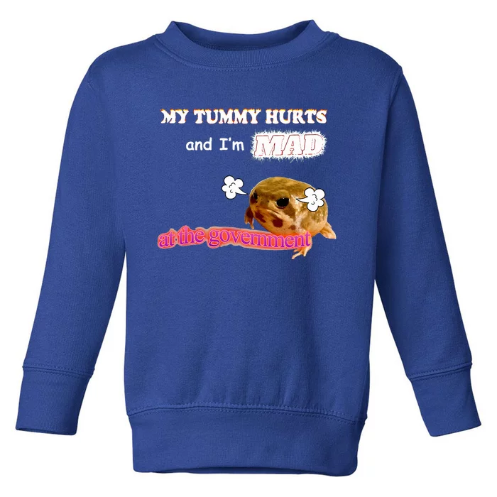 My Tummy Hurts And Im MAD At The Government Meme Toddler Sweatshirt