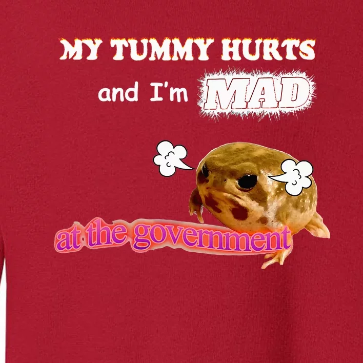 My Tummy Hurts And IM Mad At The Government Meme Toddler Sweatshirt