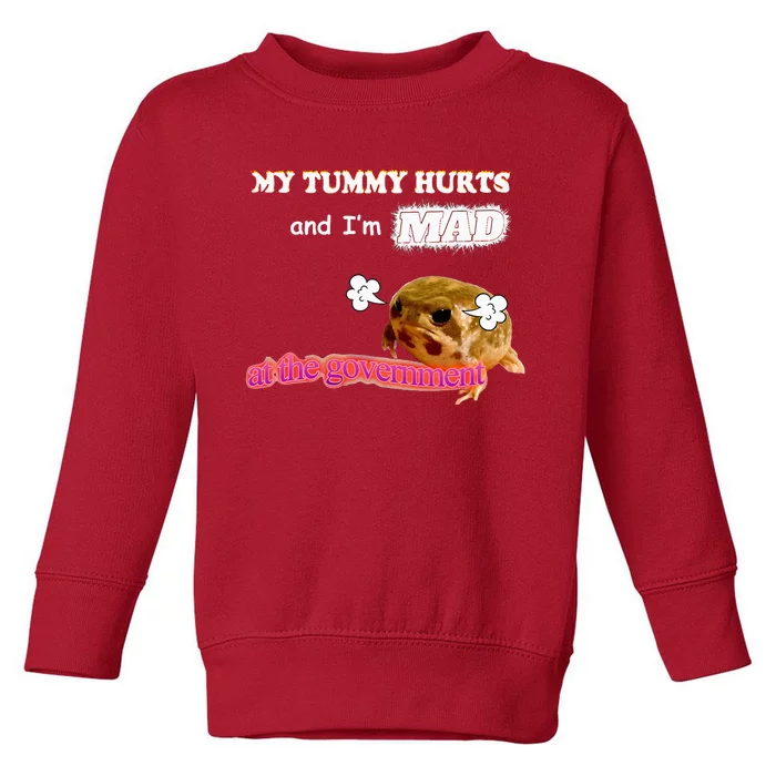 My Tummy Hurts And IM Mad At The Government Meme Toddler Sweatshirt