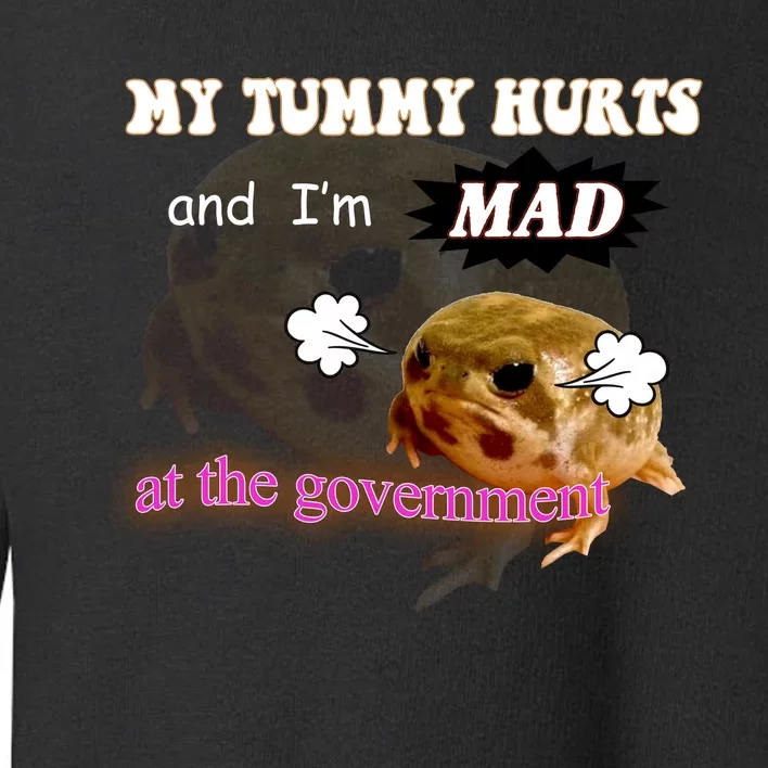 My Tummy Hurts And Im MAD At The Government Toddler Sweatshirt