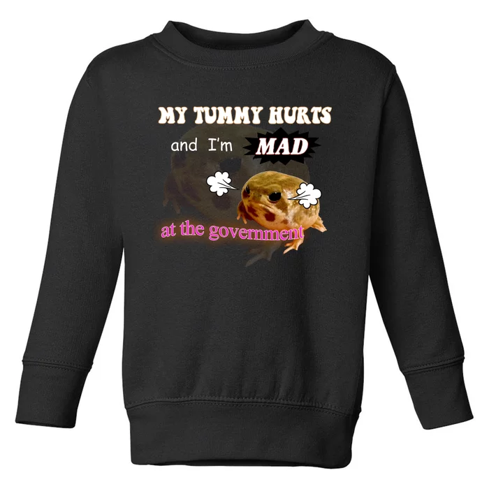 My Tummy Hurts And Im MAD At The Government Toddler Sweatshirt