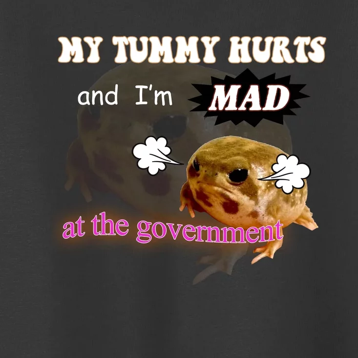 My Tummy Hurts And Im MAD At The Government Toddler T-Shirt