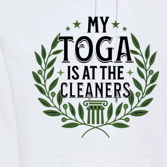 My Toga Is At The Cleaners Funny Toga Party Premium Hoodie