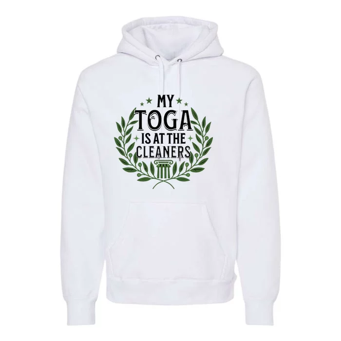 My Toga Is At The Cleaners Funny Toga Party Premium Hoodie