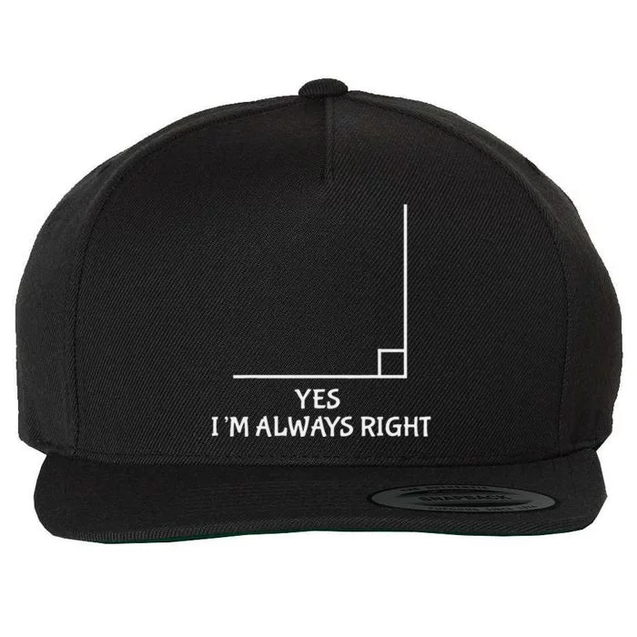 Math Teacher Joke-Fun Best Math Quotes saying Wool Snapback Cap