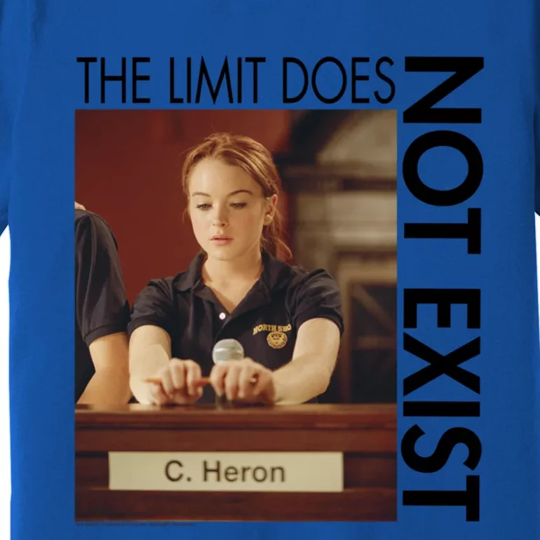 Mean The Limit Does Not Exist Funny Gift Premium T-Shirt