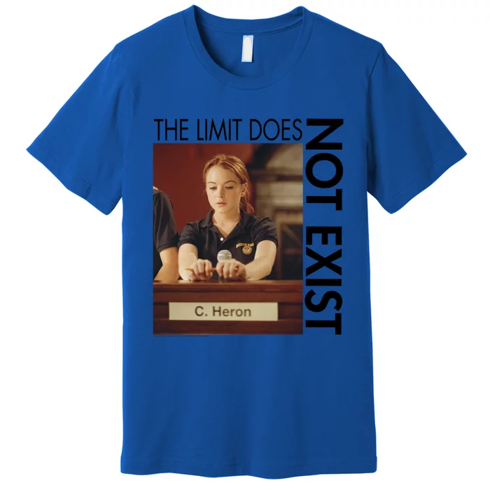 Mean The Limit Does Not Exist Funny Gift Premium T-Shirt