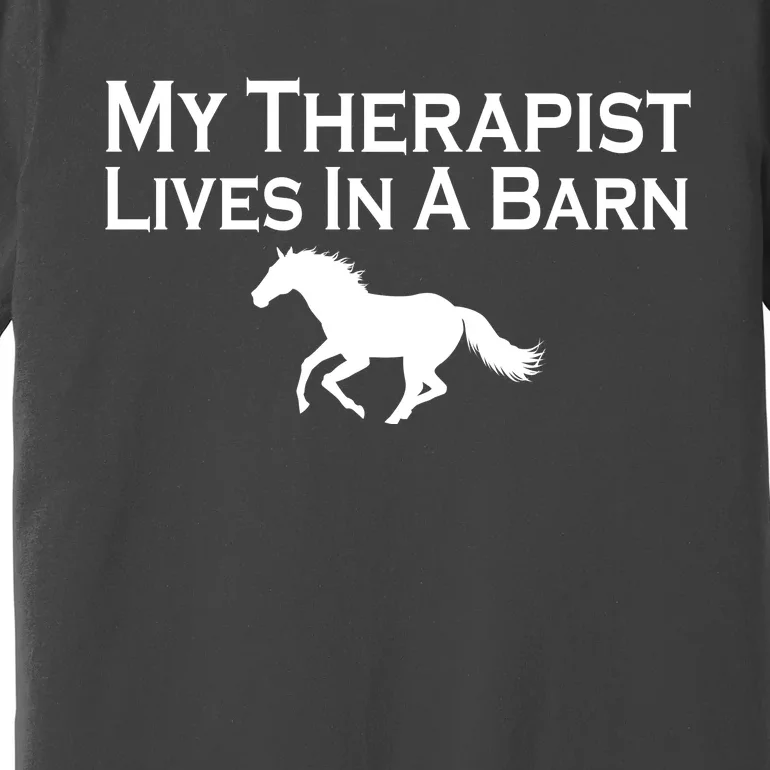 My Therapist Lives In A Barn Horse Lover Premium T-Shirt