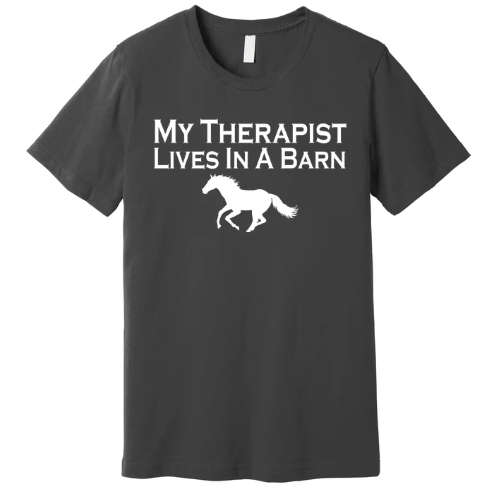 My Therapist Lives In A Barn Horse Lover Premium T-Shirt