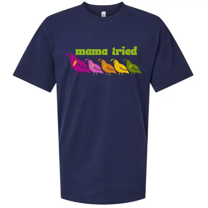 Mama Tried Sueded Cloud Jersey T-Shirt