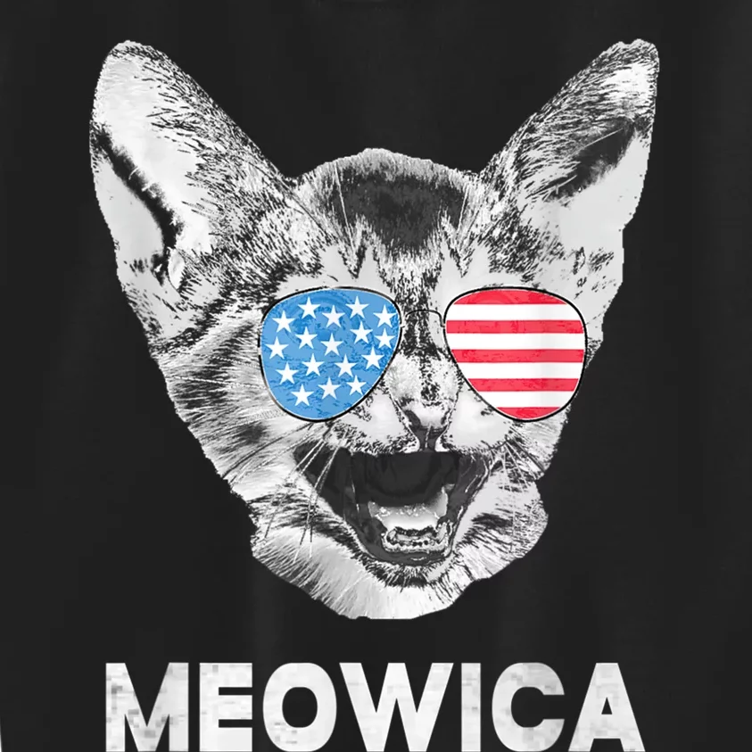 Meowica Usa American Flag Cat July 4 Kids Sweatshirt