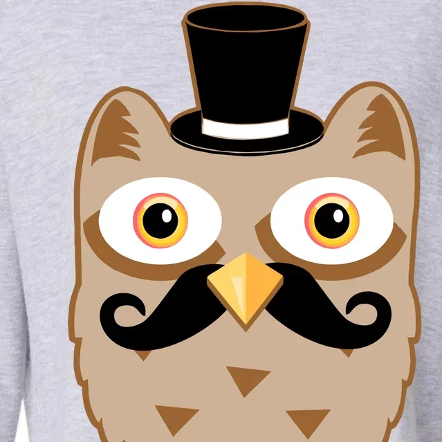 Mustache Owl With Hat Cropped Pullover Crew