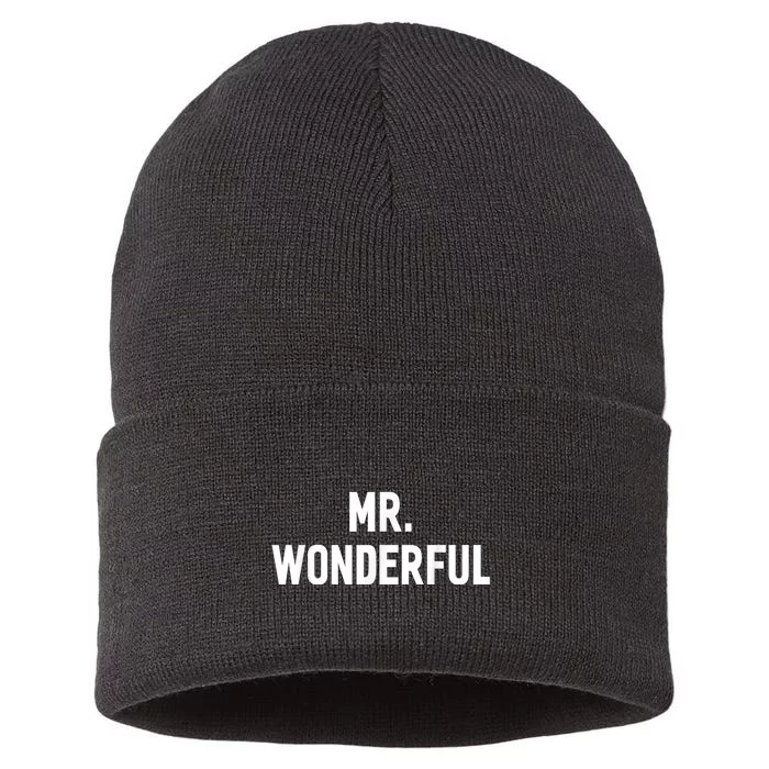 Mr. Wonderful Funny Hilarious Husband Humor Sustainable Knit Beanie