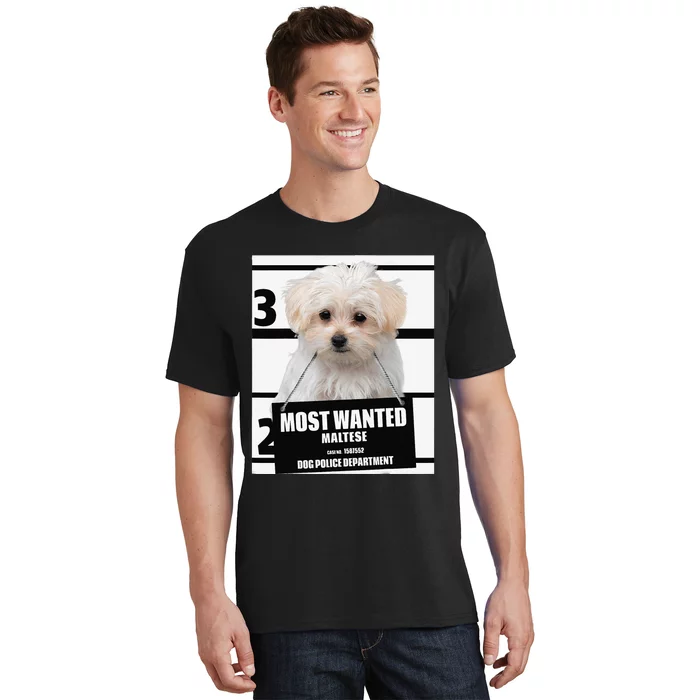 Most Wanted Maltese Terrier Dog T-Shirt