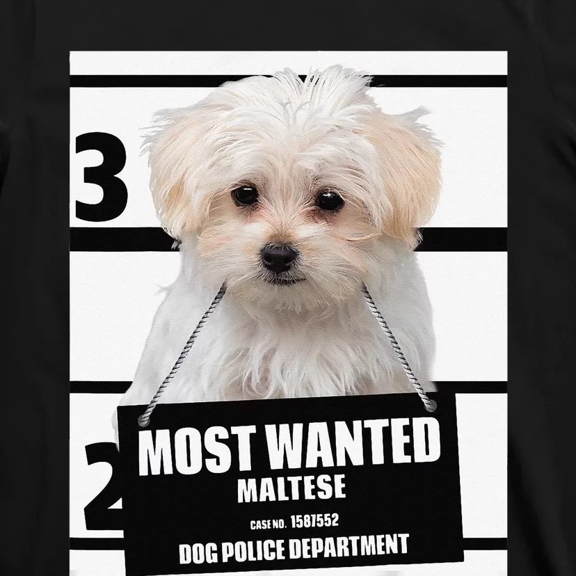 Most Wanted Maltese Terrier Dog T-Shirt