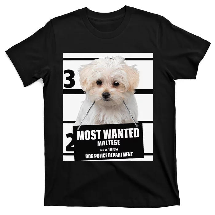 Most Wanted Maltese Terrier Dog T-Shirt