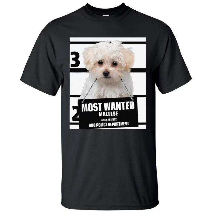 Most Wanted Maltese Terrier Dog Tall T-Shirt