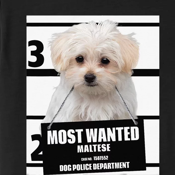 Most Wanted Maltese Terrier Dog ChromaSoft Performance T-Shirt