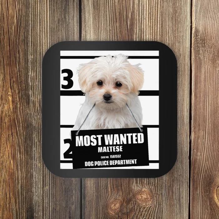 Most Wanted Maltese Terrier Dog Coaster