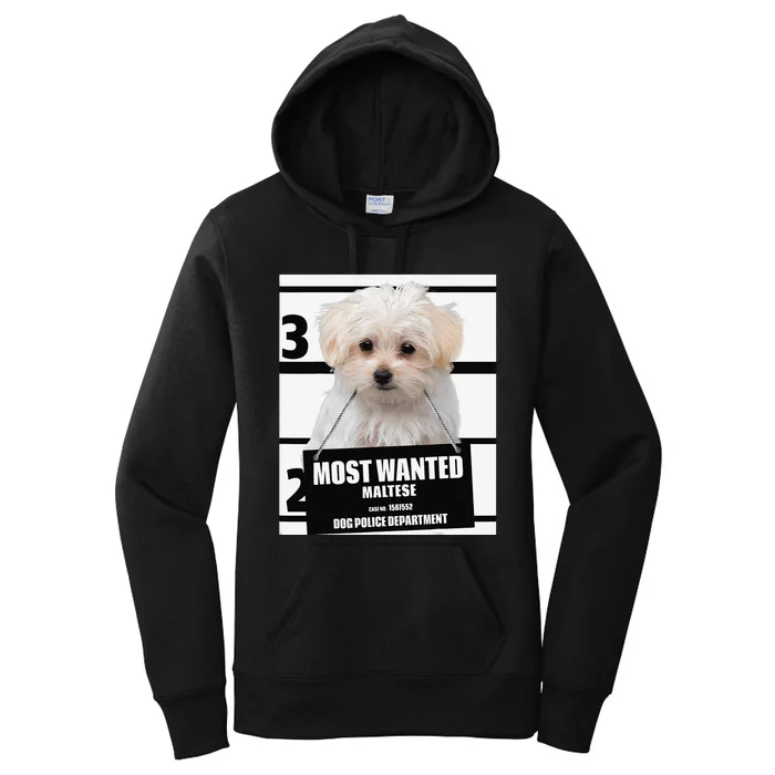 Most Wanted Maltese Terrier Dog Women's Pullover Hoodie