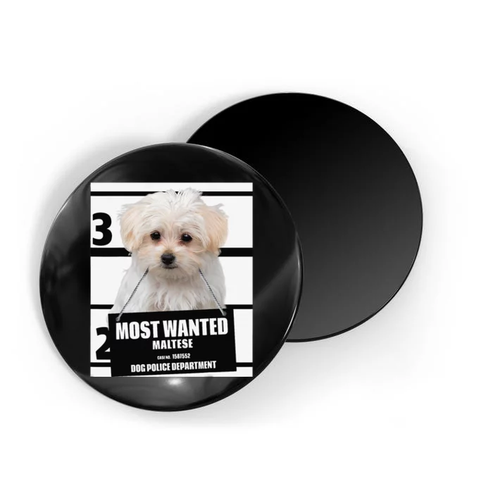 Most Wanted Maltese Terrier Dog Magnet