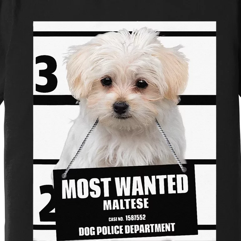 Most Wanted Maltese Terrier Dog Premium T-Shirt