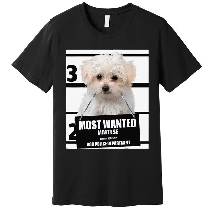 Most Wanted Maltese Terrier Dog Premium T-Shirt