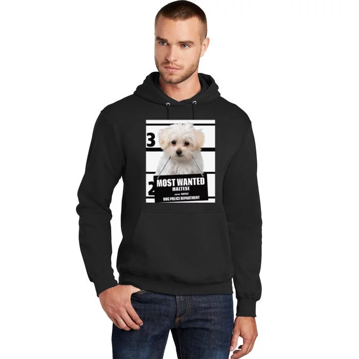 Most Wanted Maltese Terrier Dog Tall Hoodie