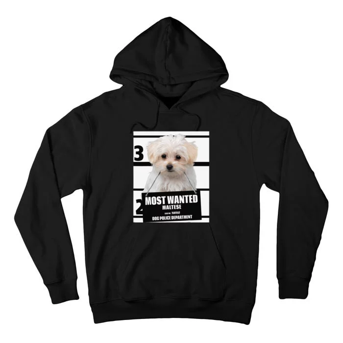 Most Wanted Maltese Terrier Dog Tall Hoodie