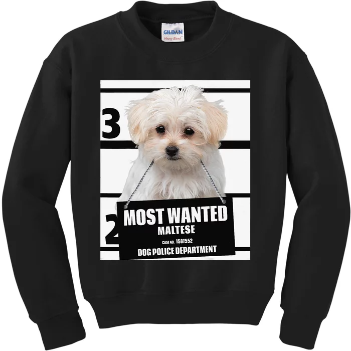 Most Wanted Maltese Terrier Dog Kids Sweatshirt