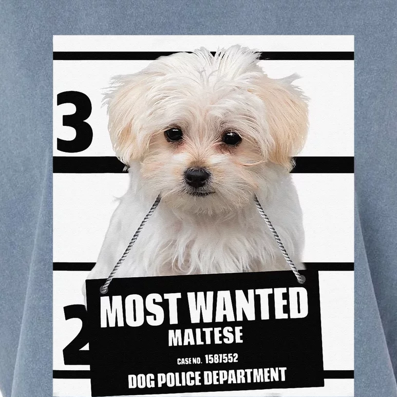 Most Wanted Maltese Terrier Dog Garment-Dyed Women's Muscle Tee