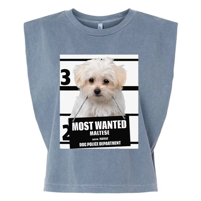 Most Wanted Maltese Terrier Dog Garment-Dyed Women's Muscle Tee