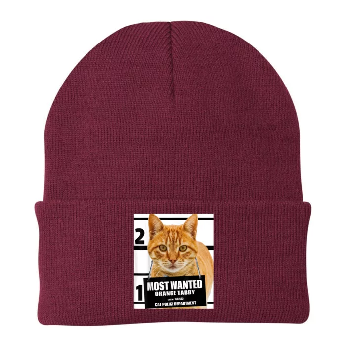 Most Wanted Orange Tabby Cat T Feline S Knit Cap Winter Beanie