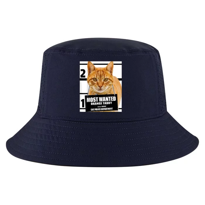 Most Wanted Orange Tabby Cat T Feline S Cool Comfort Performance Bucket Hat