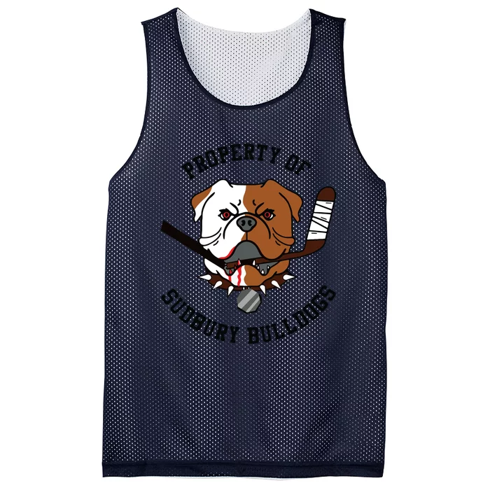 Men Women Property Of Sudbury Bulldog Mesh Reversible Basketball Jersey Tank