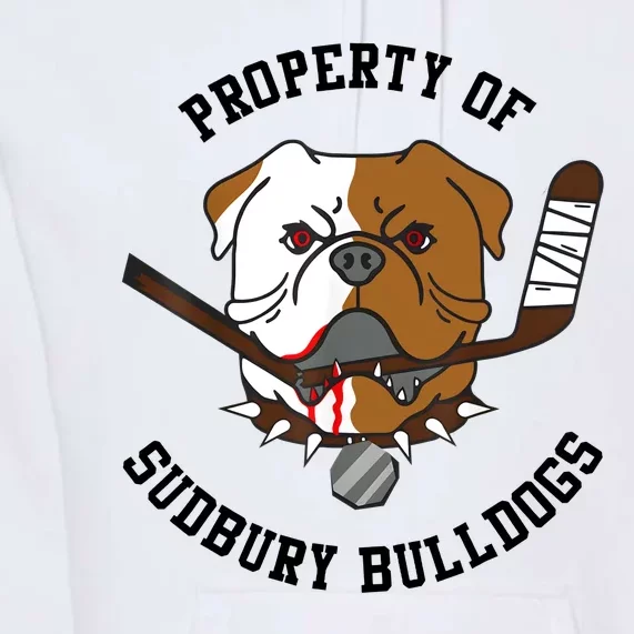 Men Women Property Of Sudbury Bulldog Funny Premium Hoodie