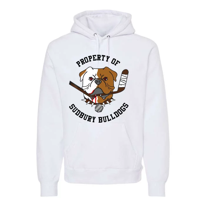 Men Women Property Of Sudbury Bulldog Funny Premium Hoodie