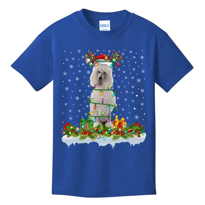 Matching Xmas Lighting Santa Standard Poodle Dog Christmas Cool Gift Kids T-Shirt