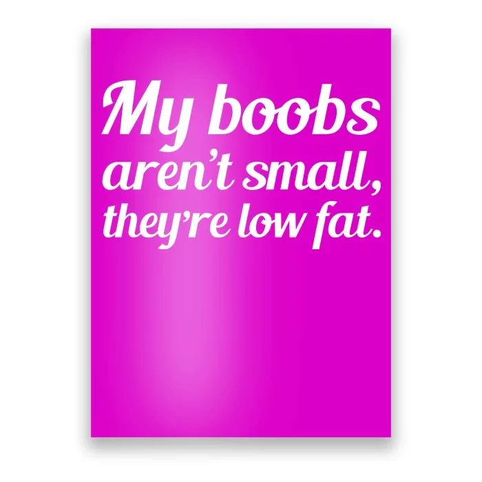 My Boobs Aren't Small They're Low Fat Poster