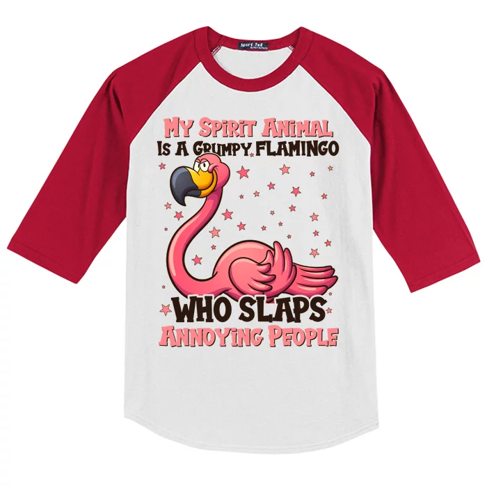 My Spirit Animal Is A Grumpy Flamingo Kids Colorblock Raglan Jersey