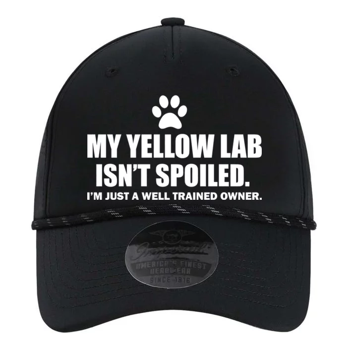 My Yellow Lab Isn't Spoiled Performance The Dyno Cap