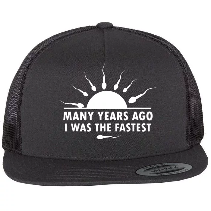 Many Years Ago I Was The Fastest Funny Sarcastic Flat Bill Trucker Hat