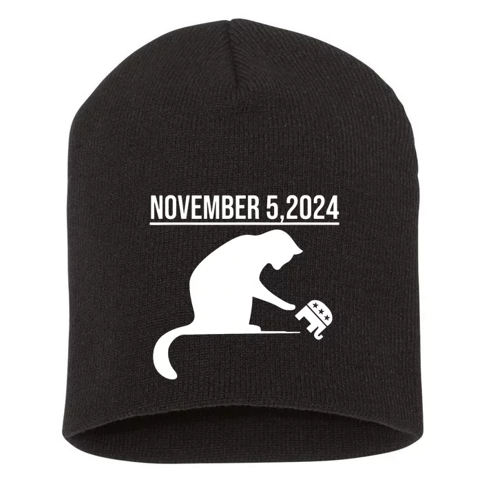 November 5 2024 The Revenge Of The Cat Ladies Cats Kamala Short Acrylic Beanie