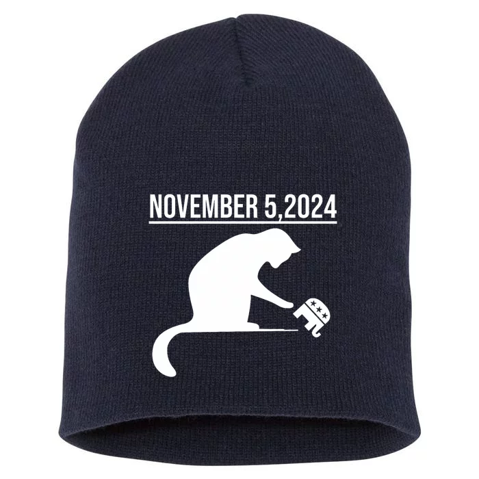 November 5 2024 The Revenge Of The Cat Ladies Cats Kamala Short Acrylic Beanie