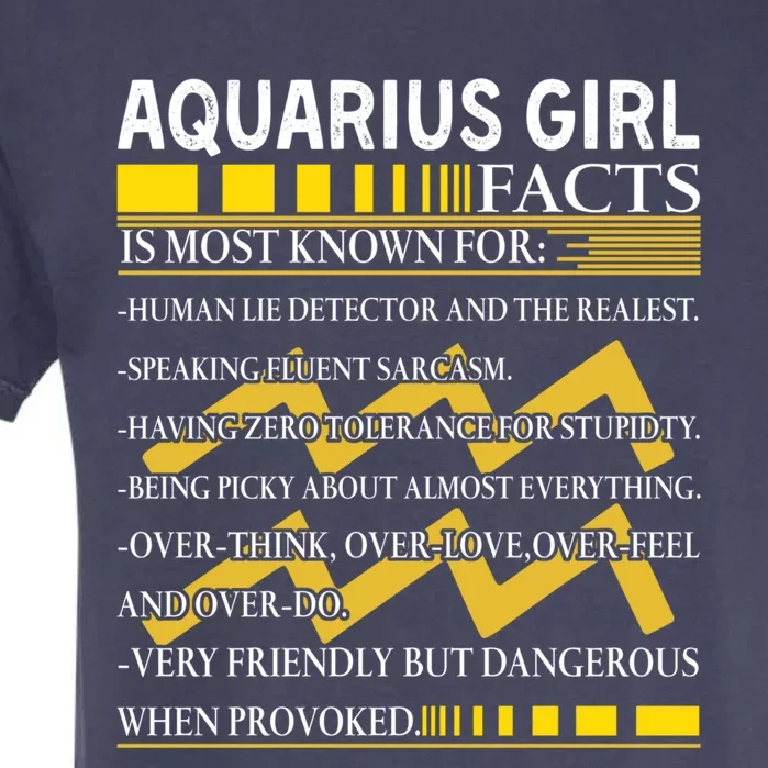 Nn Aquarius Facts Birthday February January Gift Garment-Dyed Heavyweight T-Shirt