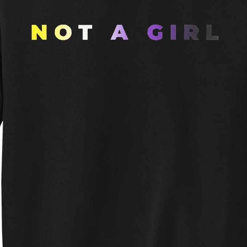 Not A Girl Subtle Flag Enby Pride Queer Lgbt Sweatshirt